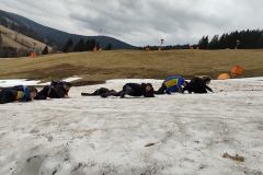 IMG_20240313_114333_1