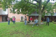 DSCN6530