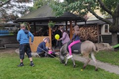IMG_20210928_133627