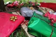 IMG_20230826_121558