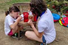 IMG_20230826_130234
