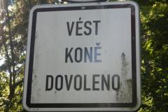 DSCN0817