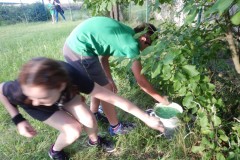 DSCN5227_01