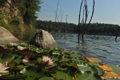 DSCN5636_01