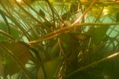 DSCN5653_01