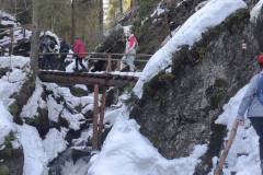 IMG_20230310_121523