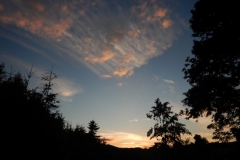 DSCN5203