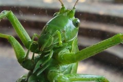 IMG_20210814_095545