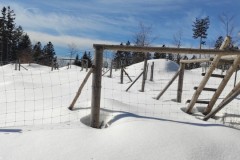 IMG_20220302_113137