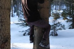 IMG_20220303_153648_1