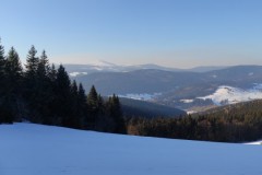 IMG_20220303_155356