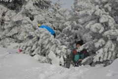 DSCN4017